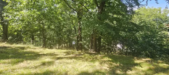 Terrain à St. Andra-Wordern, Austria 892m² No. 95482 14