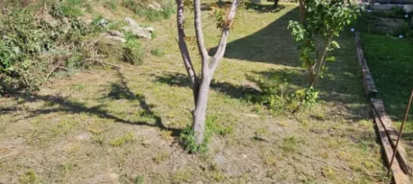 Terrain à St. Andra-Wordern, Austria 892m² No. 95482 8