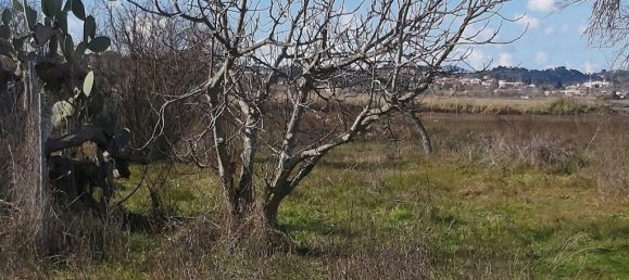 2 bedrooms Commercial property in Corfu, Greece No. 3727 20