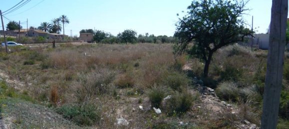 قطعة أرض في San Vicente del Raspeig, Spain رقم 22298 3