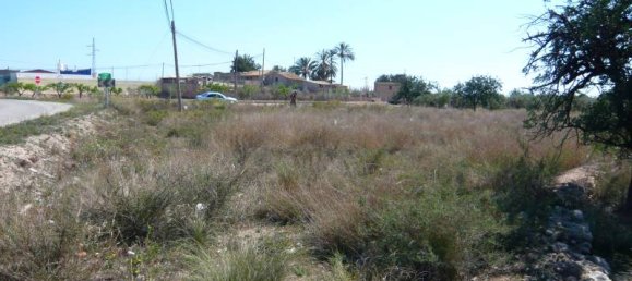 قطعة أرض في San Vicente del Raspeig, Spain رقم 22298 2