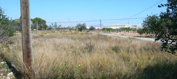 قطعة أرض في San Vicente del Raspeig, Spain رقم 22298 5