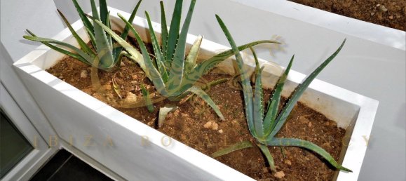 Вилла с 5 спальнями в Сьюдад Ибицы, Испания № 871 13