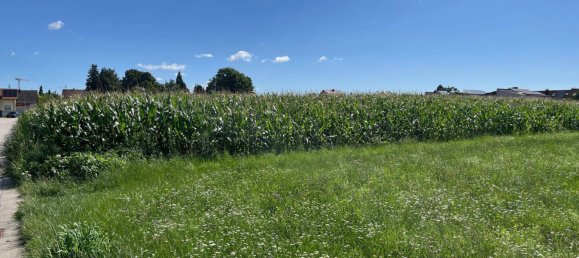 10217m² Land in Gunskirchen, Austria No. 195982 3