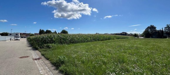 10217m² Land in Gunskirchen, Austria No. 195982 2