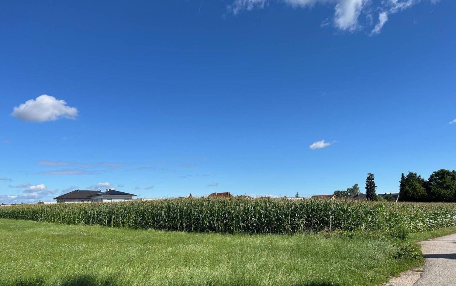 10217m² Land in Gunskirchen, Austria No. 195982