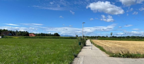 10217m² Land in Gunskirchen, Austria No. 195982 4