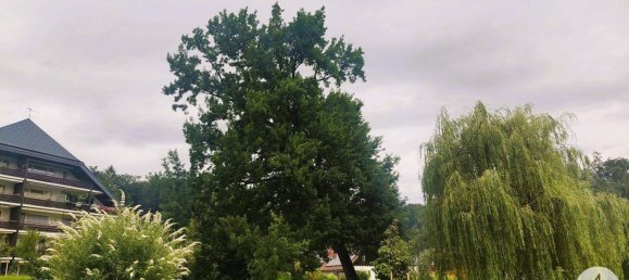 3-salle Appartement à Gresten, Austria No. 204123 6