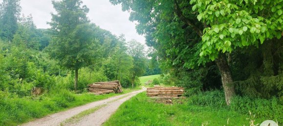 3-salle Appartement à Gresten, Austria No. 204123 19