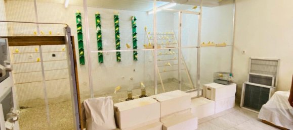 13-Zimmer Haus in Rheinland-Pfalz, Germany, Nr. 139732 18