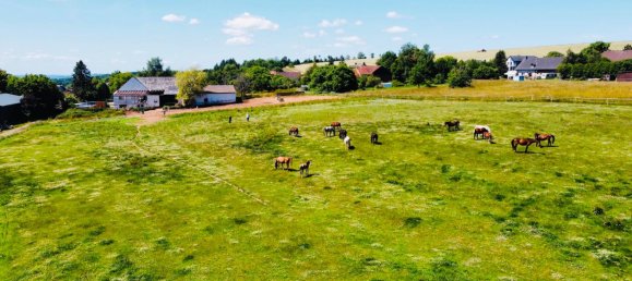 13-Zimmer Haus in Rheinland-Pfalz, Germany, Nr. 139732 2