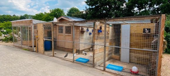 13-Zimmer Haus in Rheinland-Pfalz, Germany, Nr. 139732 13