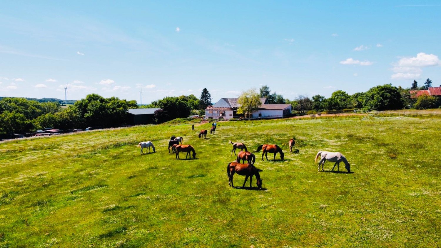 13-Zimmer Haus in Rheinland-Pfalz, Germany, Nr. 139732