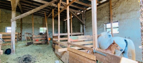 13-Zimmer Haus in Rheinland-Pfalz, Germany, Nr. 139732 12