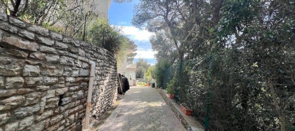 13 rooms Villa in Livorno, Italy No. 152145 19