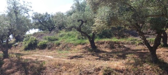 terreno en venta en Zakynthos, Ionian Islands, Peloponnese, Western Greece and the Ionian, Greece № 74155 21