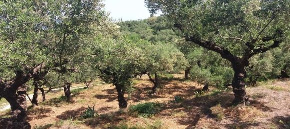 terreno en venta en Zakynthos, Ionian Islands, Peloponnese, Western Greece and the Ionian, Greece № 74155 11