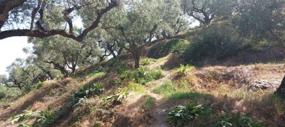 terreno en venta en Zakynthos, Ionian Islands, Peloponnese, Western Greece and the Ionian, Greece № 74155 16