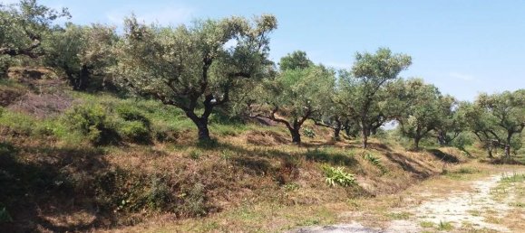 terreno en venta en Zakynthos, Ionian Islands, Peloponnese, Western Greece and the Ionian, Greece № 74155 8