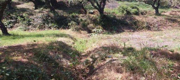 terreno en venta en Zakynthos, Ionian Islands, Peloponnese, Western Greece and the Ionian, Greece № 74155 17