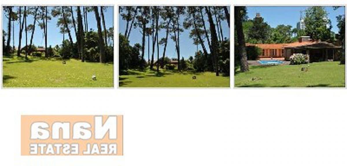 4 chambres Maison à Maldonado, Uruguay No. 3678