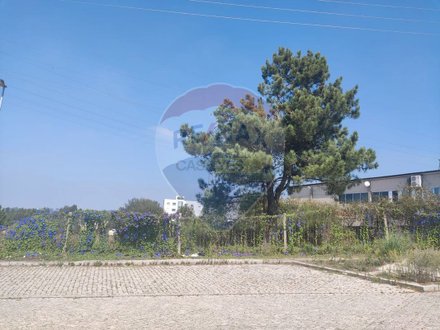  قطعة أرض في Fanzeres, Portugal 1725متر مربع رقم 35171