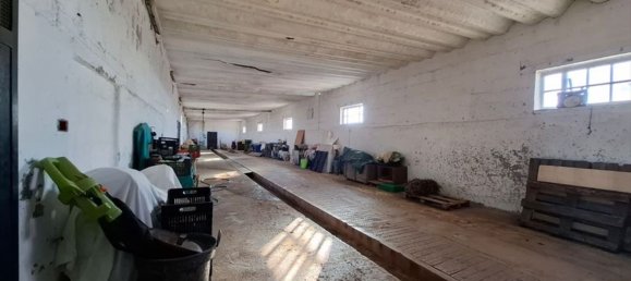 Дом с 10 комнатами в Конверсано, Италия № 303153 12