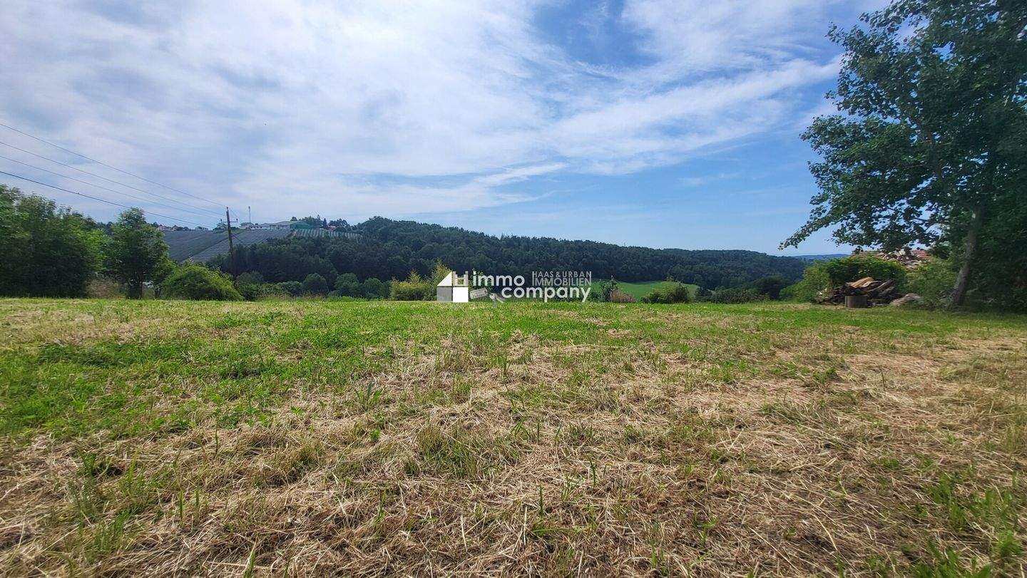  Land in Liebenau, Austria No. 23293