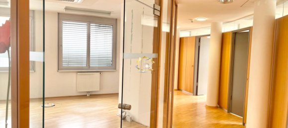20 rooms Apartment in Modling, Austria No. 47817 7