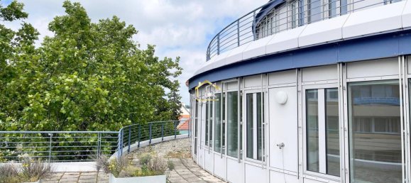 20 rooms Apartment in Modling, Austria No. 47817 6