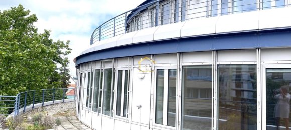 20 rooms Apartment in Modling, Austria No. 47817 5