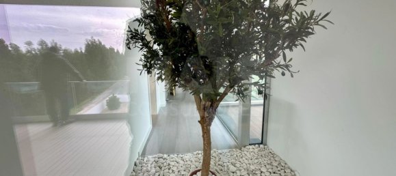 3 bedrooms House in Nazare, Portugal No. 140981 14