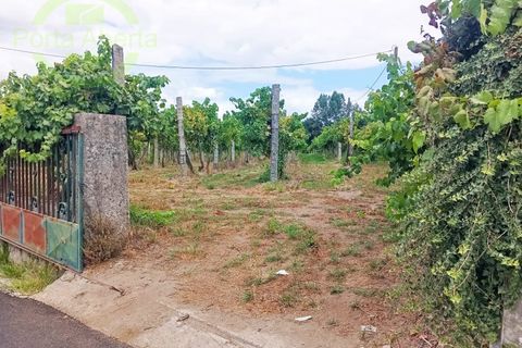  Land in Santo Tirso, Portugal No. 322292