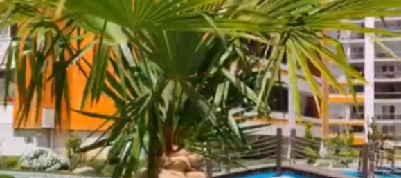 Apartment 3+1 in Istanbul, Turkey No. 25157 2