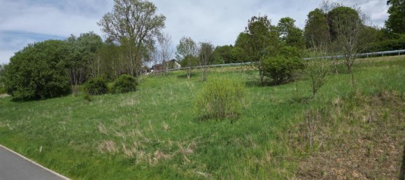 Terreno en Hof, Germany No. 352455 4