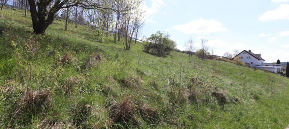 Terreno en Hof, Germany No. 352455 8