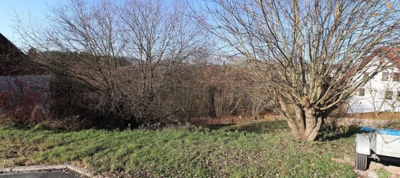 Terreno en Hof, Germany No. 352455 7