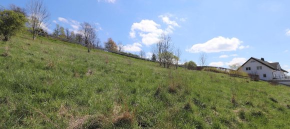 Terreno en Hof, Germany No. 352455 3