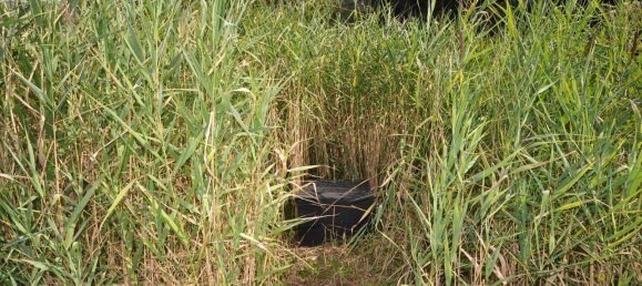 Casa de 5 habitaciónes en Suhl, Germany No. 324124 29