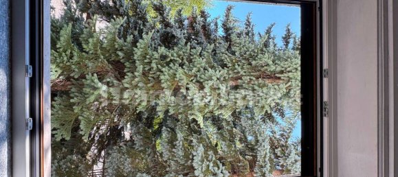 1 bedroom Apartment in Bardonecchia, Italy No. 281999 25