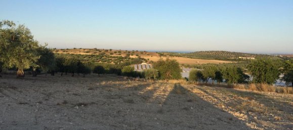 13000m² Land in Noto, Italy No. 237672 2