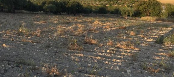 13000m² Land in Noto, Italy No. 237672 3