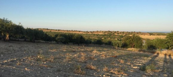 13000m² Land in Noto, Italy No. 237672 4