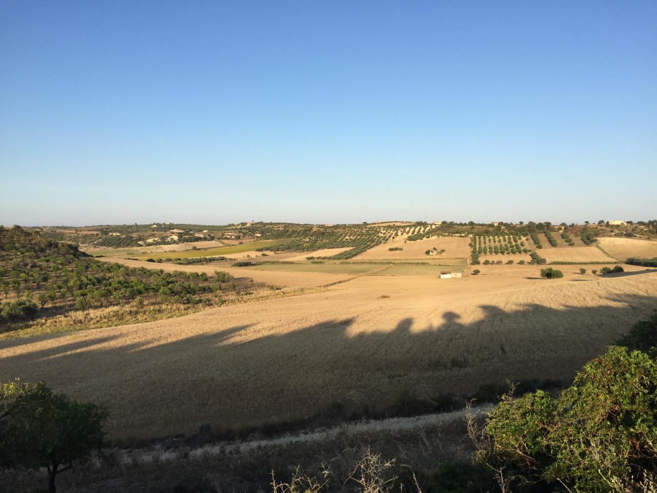 13000m² Land in Noto, Italy No. 237672