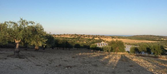 13000m² Land in Noto, Italy No. 237672 6