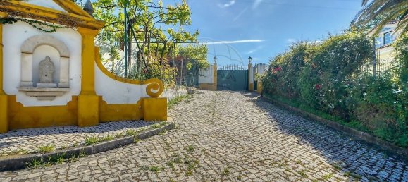 7 bedrooms Castles in Torres Novas, Portugal No. 49934 4