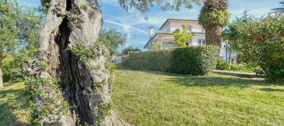 7 bedrooms Castles in Torres Novas, Portugal No. 49934 6