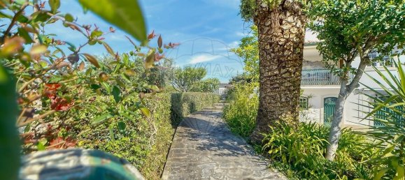 7 bedrooms Castles in Torres Novas, Portugal No. 49934 5
