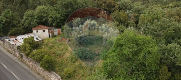 2 Schlafzimmer Haus in Coimbra, Portugal, Nr. 33028 5