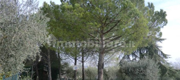 Grundstück in Perugia, Italy 3500m², Nr. 354317 4